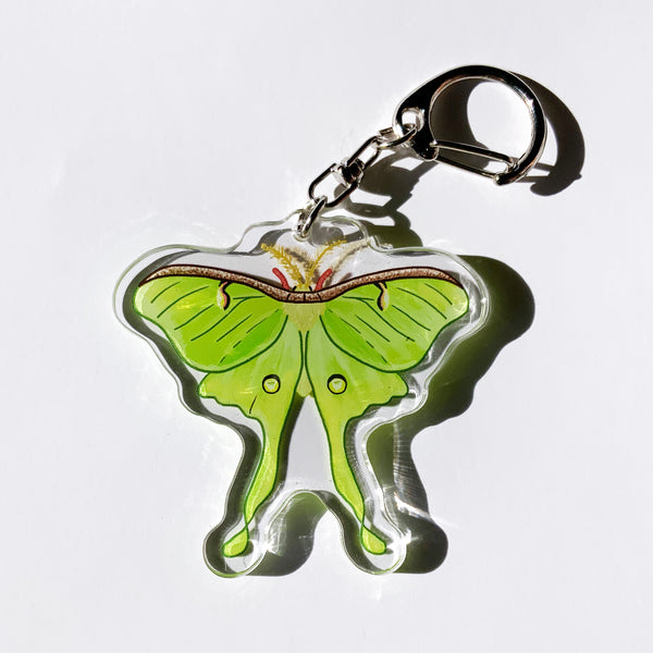 Luna Moth - 2.5" Acrylic Keychain