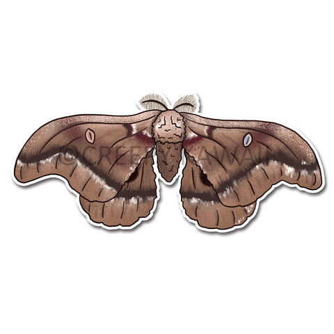 Polyphemus Moth - 3 Inch Weatherproof Vinyl Sticker - Creepy Kawaii