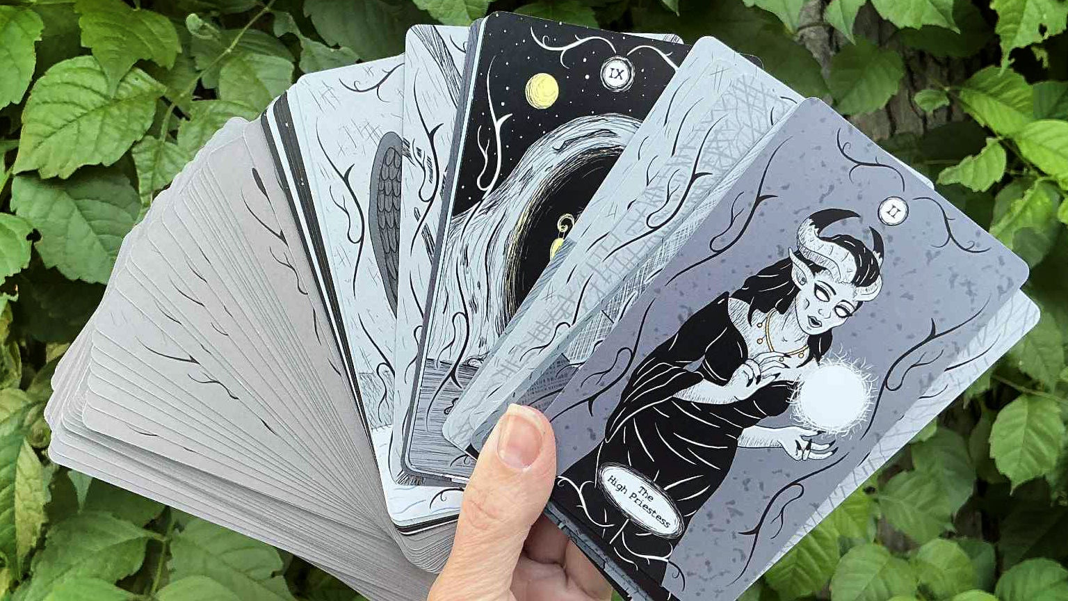 Hand holding tarot cards against a green leafy background