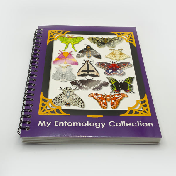 Repositionable Sticker Book - My Entomology Collection