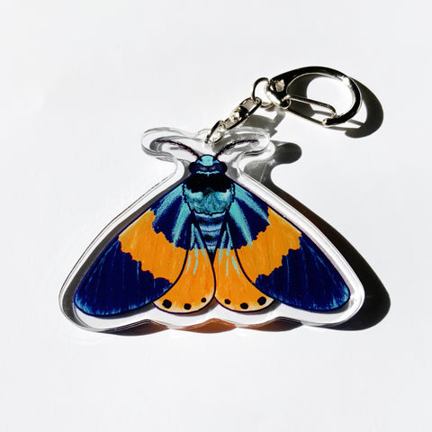 CLEARANCE - Milionia Basalis Moth - 2.5" Acrylic Keychain