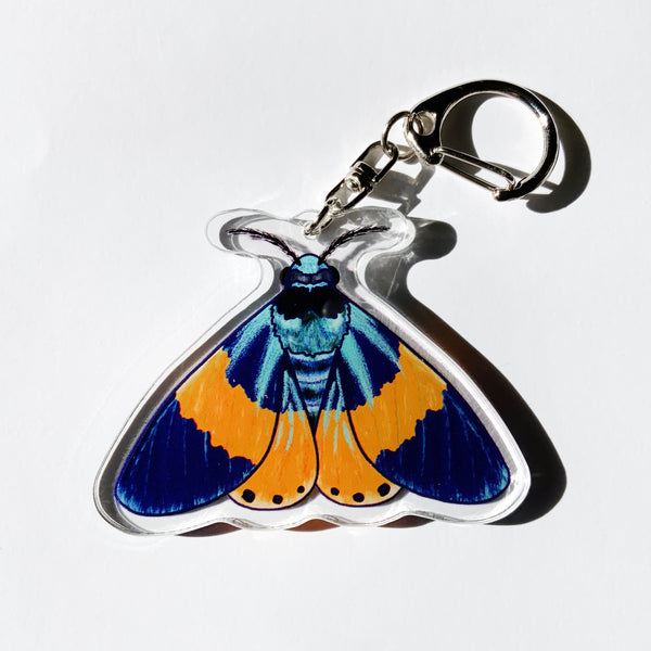 Milionia Basalis Moth - 2.5" Acrylic Keychain