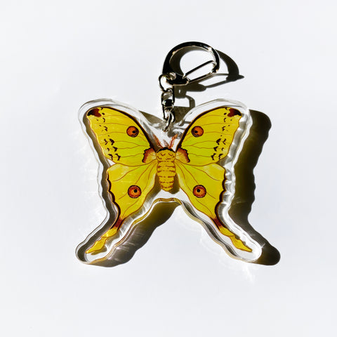 Comet Moth - 2.5" Acrylic Keychain