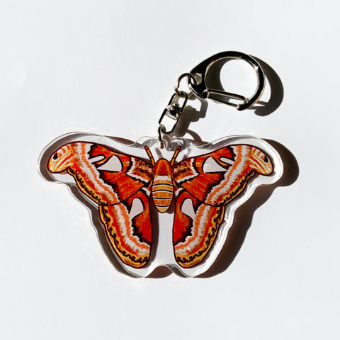 Atlas Moth - 2.5" Acrylic Keychain