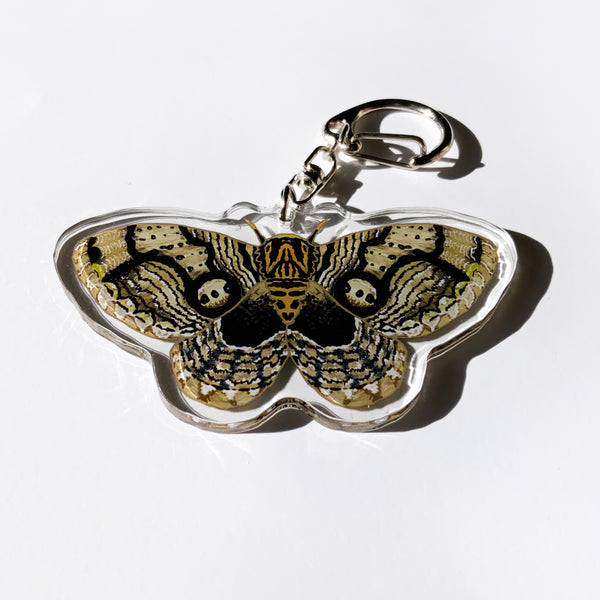 Owl Moth - 2.5" Acrylic Keychain