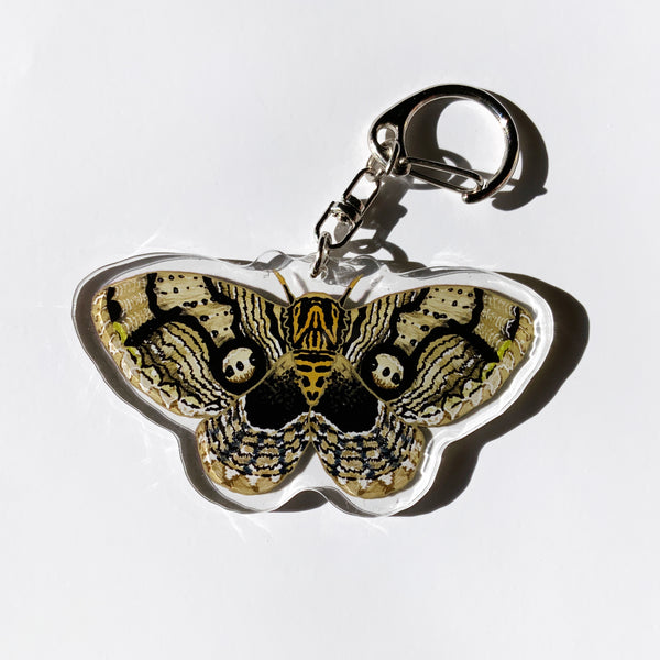 Owl Moth - 2.5" Acrylic Keychain