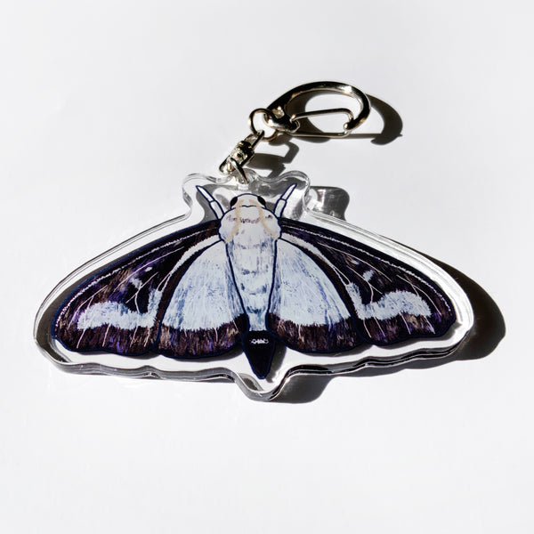 Box Tree Moth - 2.5" Acrylic Keychain