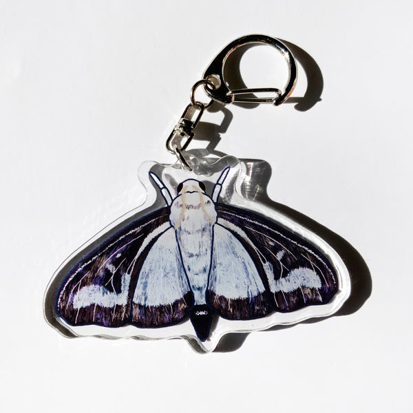 Box Tree Moth - 2.5" Acrylic Keychain