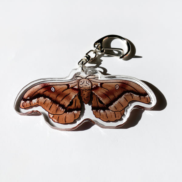 Polyphemus Moth - 2.5" Acrylic Keychain