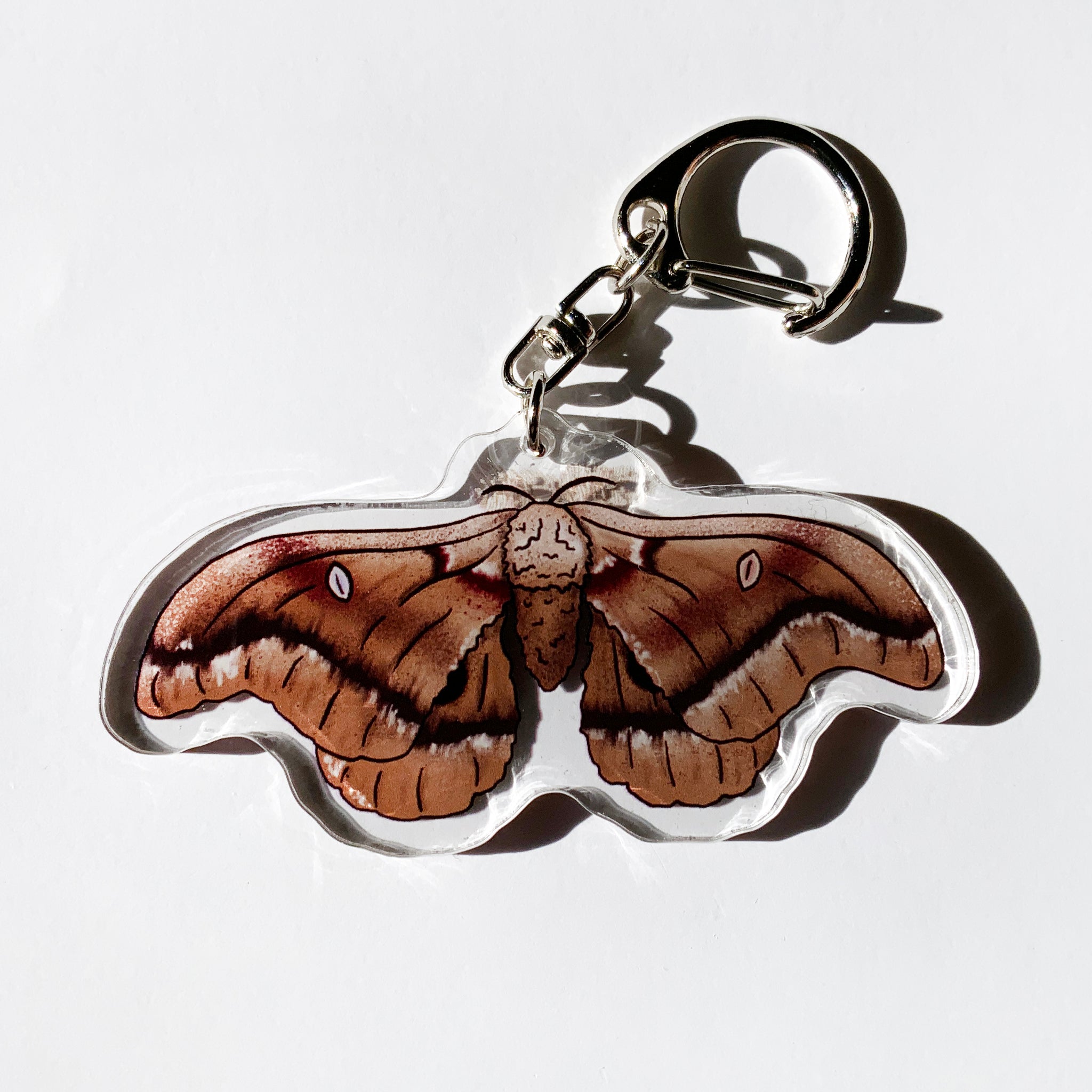 CLEARANCE - Polyphemus Moth - 2.5" Acrylic Keychain