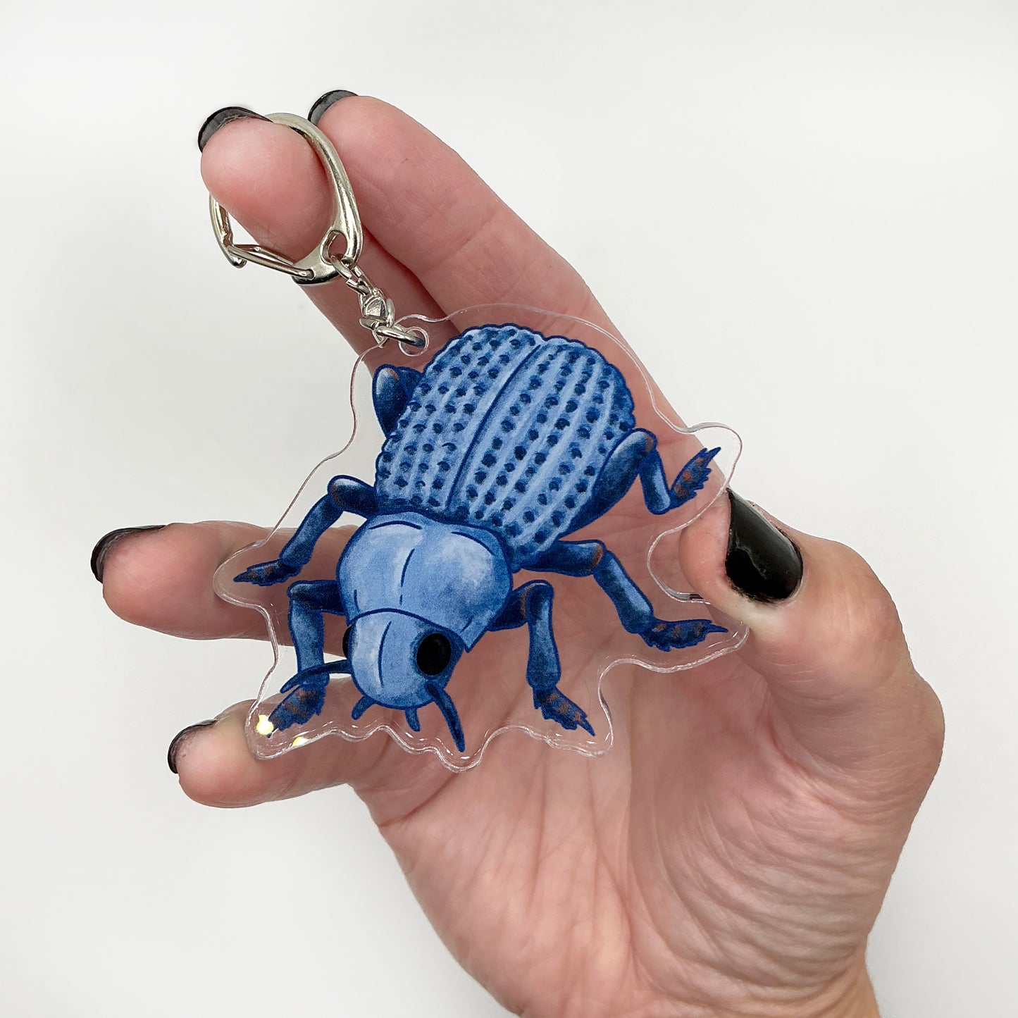 Blue Death-Feigning Beetle - 2" Acrylic Keychain