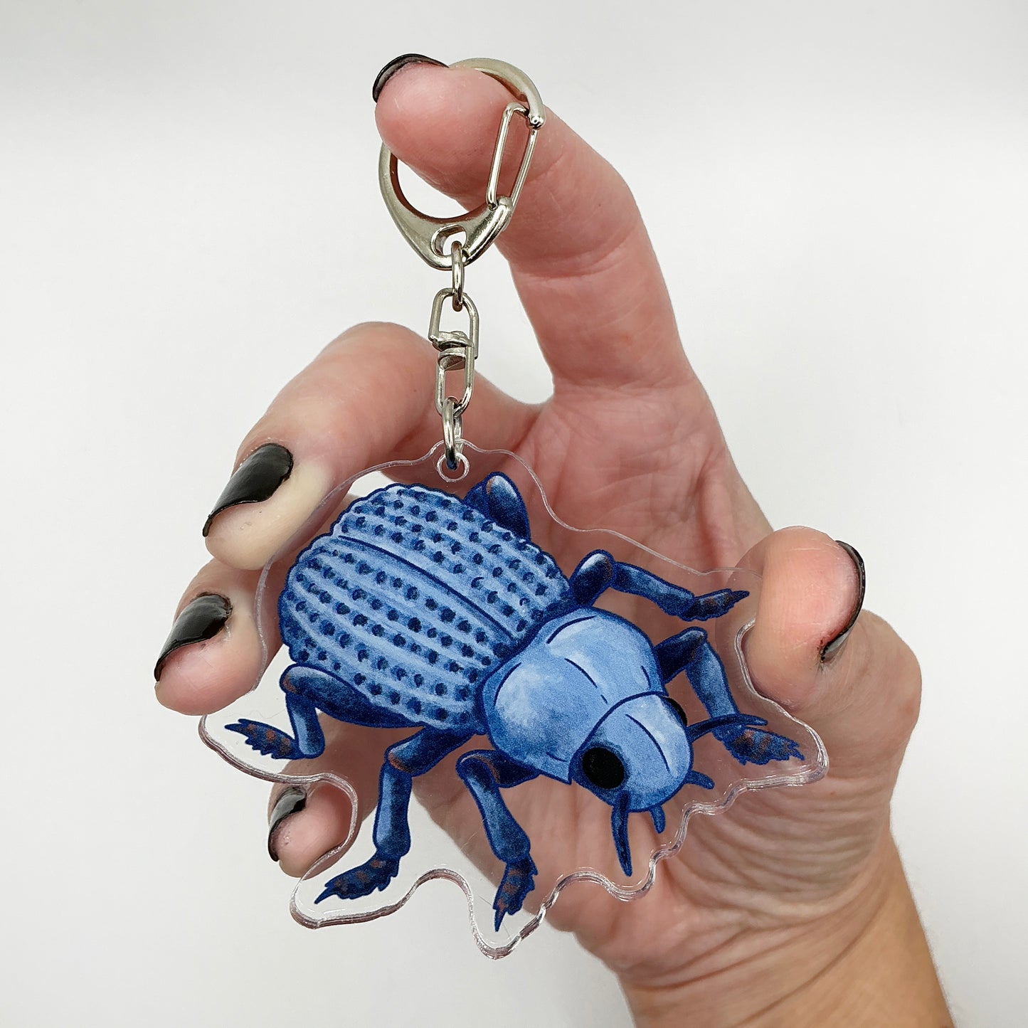 Blue Death-Feigning Beetle - 2" Acrylic Keychain