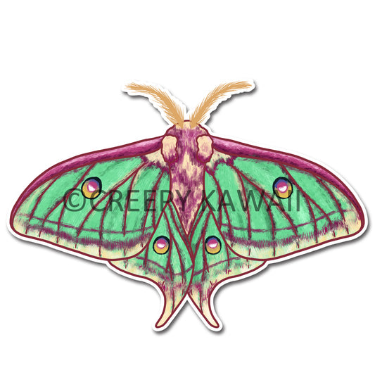 Spanish Moon Moth - 3 Inch Weatherproof Vinyl Sticker