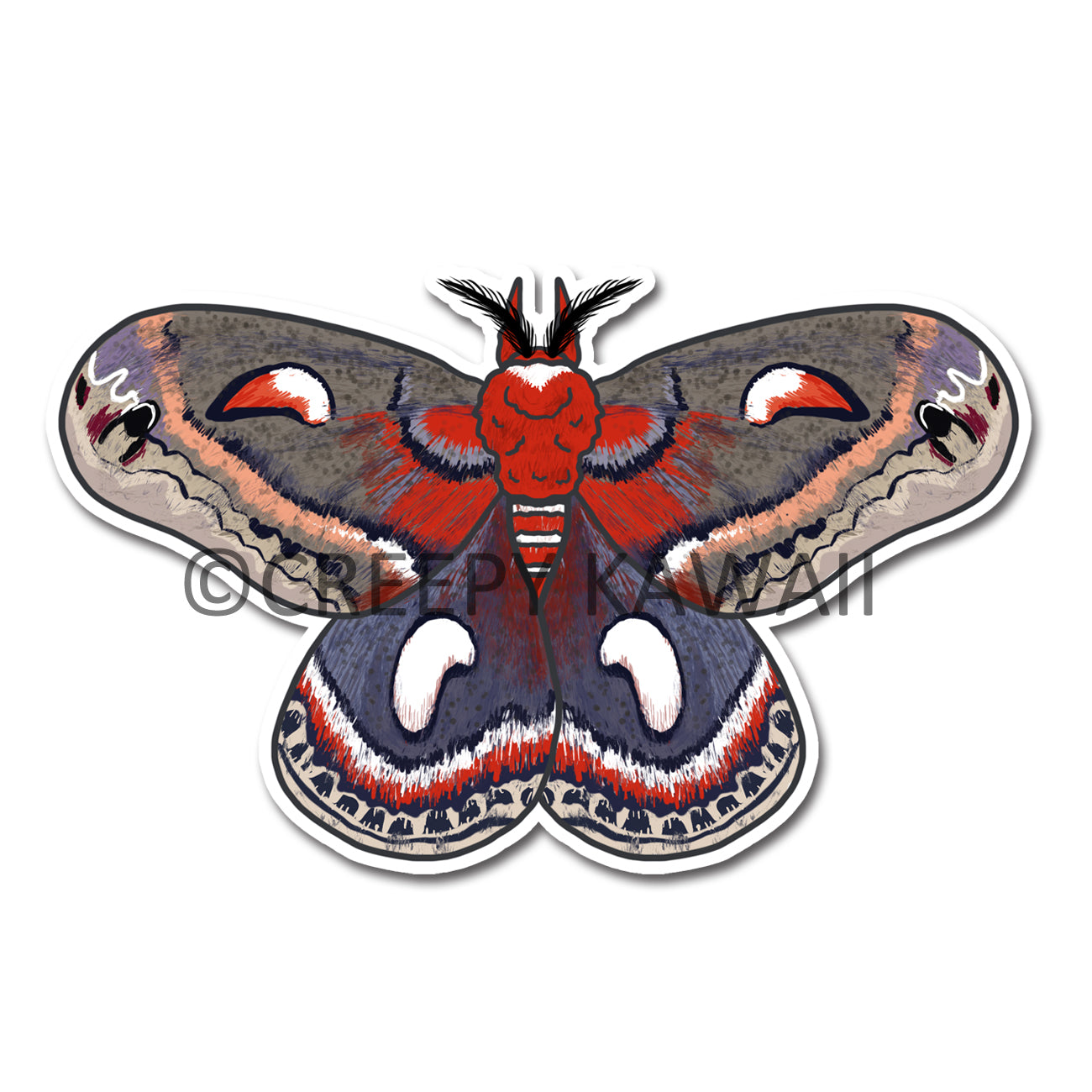 Cecropia Moth - 3 Inch Weatherproof Vinyl Sticker - Creepy Kawaii