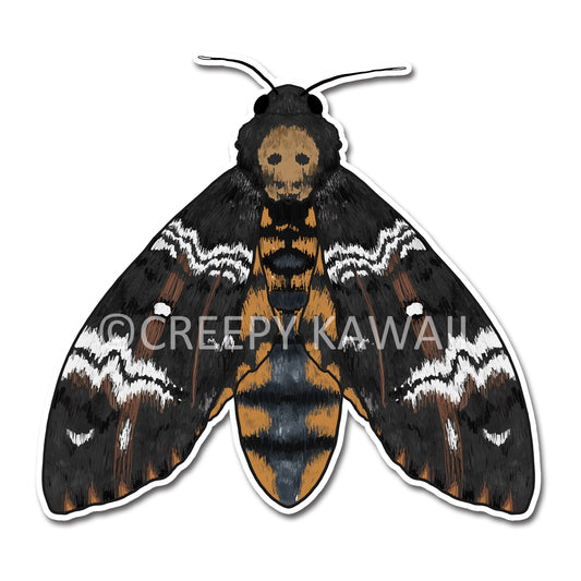 Death's-Head Hawkmoth - 3 Inch Weatherproof Vinyl Sticker - Creepy Kawaii