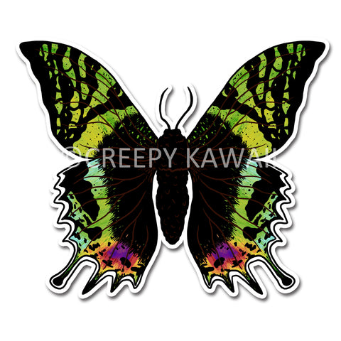 Madagascan Sunset Moth - 3 Inch Weatherproof Vinyl Sticker - Creepy Kawaii
