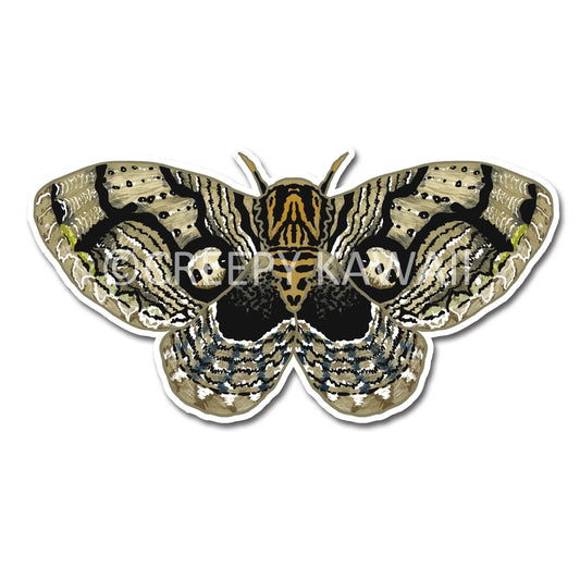 Owl Moth - 3 Inch Weatherproof Vinyl Sticker - Creepy Kawaii