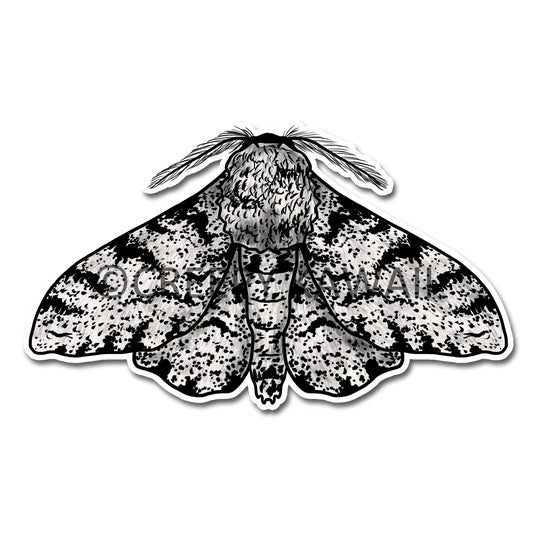 Peppered Moth - 3 Inch Weatherproof Vinyl Sticker - Creepy Kawaii