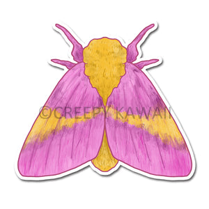 Rosy Maple Moth - 3 Inch Weatherproof Vinyl Sticker - Creepy Kawaii